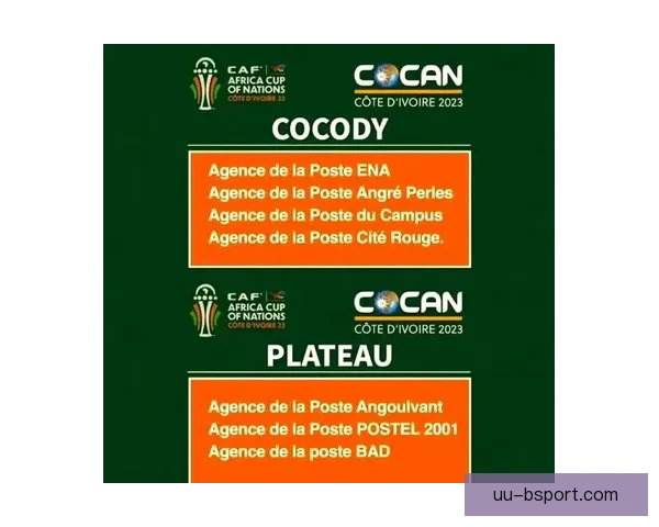 2025年非洲杯确定落户摩洛哥北非足球盛宴与城市发展新机遇来