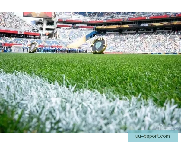 世界杯温哥华赛区宣布将引入可伸缩天然草坪提升赛事体验